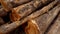 Heaps of teak logs, it looks natural texture indicates age