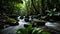 Into the Heart of Asia\\\'s Tropical Rainforest