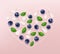 Heart from blueberries, leaves and petals on pink background. Top view. Valentine`s background.