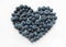 Heart blueberries pic on a white background.