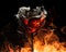 The heart broken concept by half burnt rose leaves some into black ashes and embers.