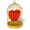 Heart in cage