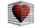 Heart in cage