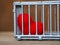 Heart in the cage Put on a wooden table, It shows the closure of freedom and love. Love is disappointed and not satisfied. Closing