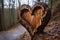 Heart carved on a tree trunk