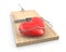 Heart caught in a mouse trap