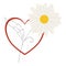Heart and Chamomile  composition for Valentine`s Day