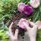 Heart of coffee beans in the hands, flowers