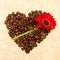 Heart - coffee and red flower on background