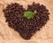 Heart composed of coffee and green leafage