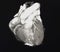 Heart Computed Tomography