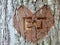 Heart Engraved On Tree