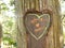 Heart Engraved On Tree