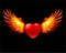 Heart in fiery wings