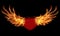 Heart with fire wings