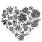 Heart floral design with black and white succulent echeveria, succulent echeveria, succulent