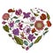 Heart floral design with colored african daisies, fuchsia, gloriosa, king protea, anthurium, strelitzia