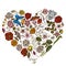 Heart floral design with colored shepherd`s purse, heather, iris japonica, sakura, gypsophila, chamomile, almond, poppy