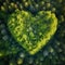 Heart forest shape in the forest from aerial view in concept of environment caring devotion