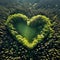 Heart forest shape in the forest from aerial view in concept of environment caring devotion, water sustainability and