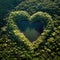 Heart forest shape in the forest from aerial view in concept of environment caring devotion, water sustainability and