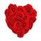 Heart formed with red roses  isolated