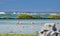 Heart formed by two flamingos in the salt flats in Bonaire netherlands antilles