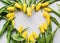 Heart Frame Yellow Spring Tulips Botanical Art