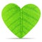 Heart green leave