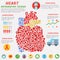 Heart infographic with symbols, text and graphic