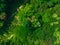 The Heart of the Jungle: A bird\'s eye view of a dense tropical forest