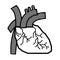 Heart line anatomy design for science