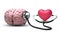 Heart listening brain with stethoscope on white background.