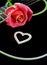 Heart of lovers, beautiful rose and black acoustic guitar. Symbols of love.