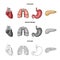 Heart, lungs, stomach, pancreas. Human organs set collection icons in cartoon,outline,monochrome style vector symbol