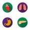 Heart, lungs, stomach, pancreas. Human organs set collection icons in flat style vector symbol stock illustration web.