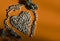 Heart made of buckwheat grain seeds surrounded by ring of other buckwheat seeds decorated with some branches of oregano on orange