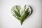 Heart made of green spikelets on white background. Valentines Day Concept. Generative AI