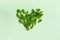 Heart made of mint leaves on the trendy solid green backdrop, ecology concept
