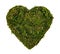 Heart of moss. Natural green moss in the form of heart. Green valentine.