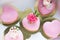 Heart  mousse cakes covered with pink  chocolate velvet decorated of pink flowers