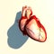 The heart is a muscular organ, which pumps blood through the blood vessels