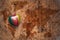 Heart with national flag of cameroon on a vintage world map crack paper background.