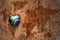 Heart with national flag of south africa on a vintage world map crack paper background.
