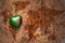 Heart with national flag of zambia on a vintage world map crack paper background.