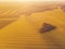 Heart of a nature, aerial view of heart shaped forest among yellow colza field at sunrise