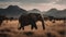 In the heart of a nature reserve, the powerful silhouette of an elephant is captured against the backdrop of mountain range,