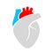 Heart organ vector icon