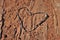 Heart Outline Made of Weathered Twigs on a Rock in a Desert