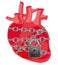 Heart of the person locked on barn lock